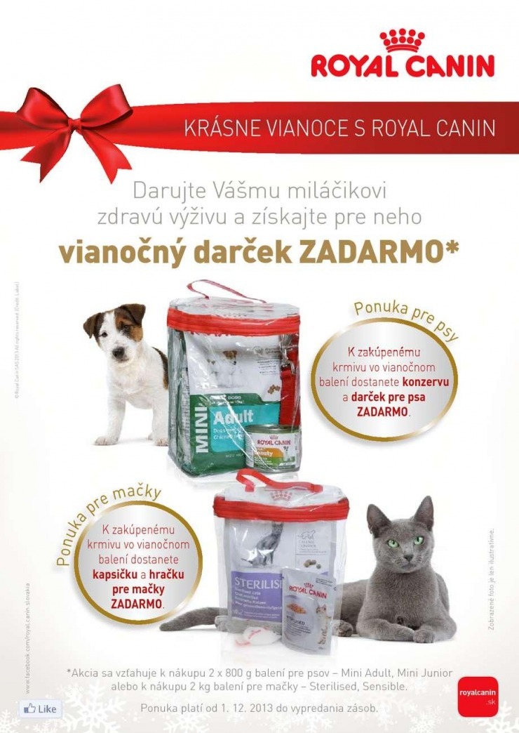 letk Pet Center pecilna ponuka strana 4